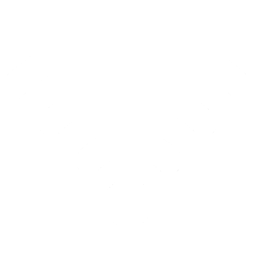 Test Your Internet Speed